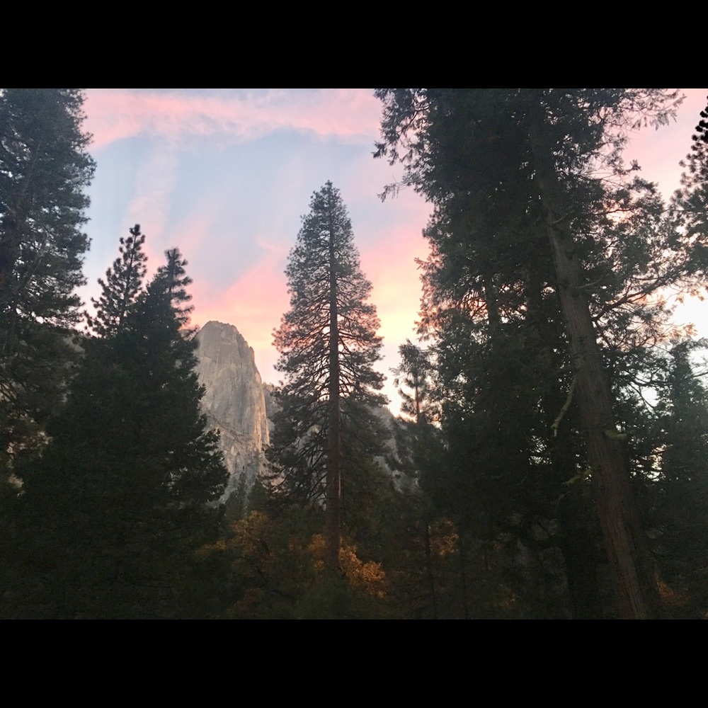 Meet your Posher, Ariana